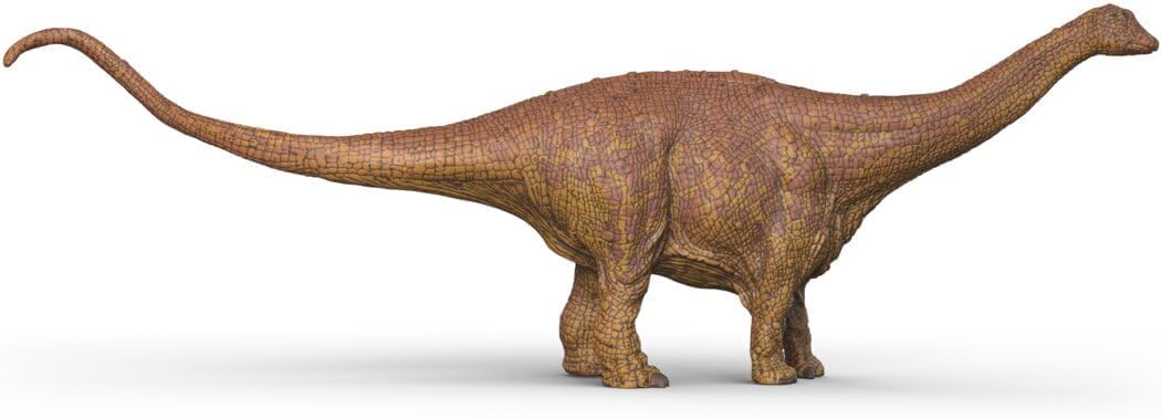 schleich Dinosaurs | Brontosaurus 15051 | detailgetreuer schleich Dino | Dinosaurier Spielzeug zum Sammeln | Geschenk für Mädchen und Jungen | Dino Spielzeug ab 3 Jahre | 33 x 6 x 11 cm 8