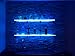 TORCHSTAR Multicolor LED Glass Edge Lighting Kit: 4pcs LED Glass Shelf Lights + Controller + IR Remote + UL Listed Power Adapter for Glass Shelf, Glass Cabinet, Countertop Decorative Lighting