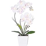 HOMESEASONS LED Lighted Artificial Phalaenopsis Orchid Arrangement with 9 Lights,White
