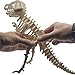 Miscy 3d Puzzle Arts Projects Craft Wood 3d Puzzles for Kids Ages 6-8 &up Assemble Paint DIY Animal Crafts T-Rex Dinosaurs