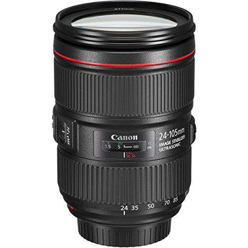 Canon EF 24–105mm f/4L IS II USM Lens + 3 Piece Filter Set + 4 Piece Close Up Macro Filters + Lens Cleaning Pen + Pro Accessory Bundle - 24-105mm II IS: Ultrasonics Motor - International Version