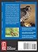 The Bird Photography Field Guide: The essential handbook for capturing birds with your digital SLR (The Field Guide Series)