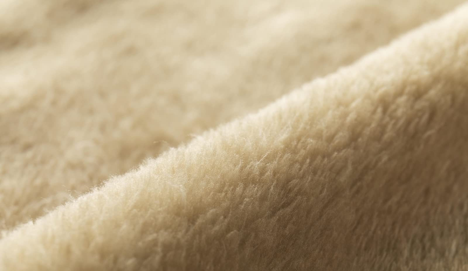 【BE-PAL ビーパル 2022年2月号 雑誌付録】コールマン超あったかブランケット