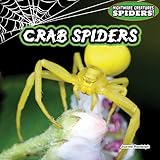 Crab Spiders (Nightmare Creatures: Spiders!)