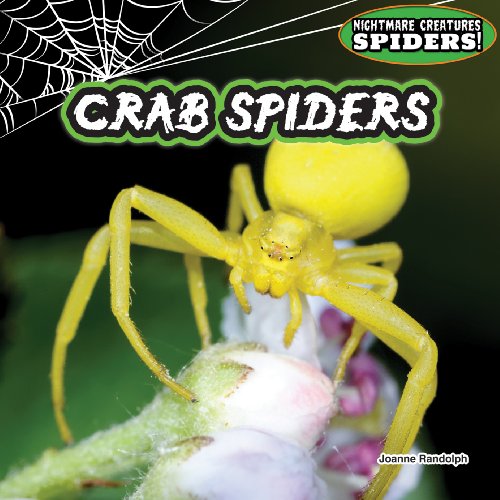 Crab Spiders (Nightmare Creatures: Spiders!)