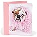 Hallmark Shoebox Funny Birthday Card for Her (Wine and Coffee), Bulldog in Tiara (0369RZF3008)