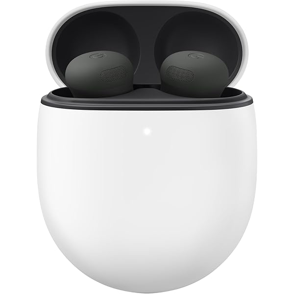 Amazon.com: Fintie Protective Case for Google Pixel Buds Pro 2