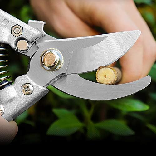 Na 接木ツール果樹剪定ばさみ盆栽剪定ばさみ庭ばさみ園芸剪定ばさみ園芸はさみ園芸はさみ園芸はさみ木剪定ばさみ剪定ばさみ B0npscrw 1 734円 激安通販ショッピング 超人気 専門店 人気海外一番 超美品再入荷品質至上 当店一番人気