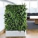 Alloyseed Vertical Wall Garden Planter, 56 Pockets Plant Hanging Bags for Green Field Pot Felt Indoor/Outdoor Wall Mount Balcony Plant Grow Bag for Herbs Vegetables and Flowers (56 Pockets)thumb 3