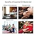 Lagunamoon Tea Tree Essential Oil - Aromatherapy Pure Essential Oils for Diffuser, Humidifier, Massage, Aromatherapy, Skin & Hair Care