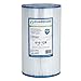 Guardian Filtration Products Spa Filter Cartridge 610-124-02 Two-Pack Replacement for Watkins Hot Springs Unicel C-6430 Pleatco PWK30 Filbur FC-391530 Sq Ft.