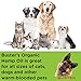 K2xLabs 4PACK, 4Month Supply Max Potency Buster's Organic Hemp Oil for Dogs and Cats Perfect Ratio Omega 3 and 6 Made in USA Hip and Joint Health, Natural Relief, Calming