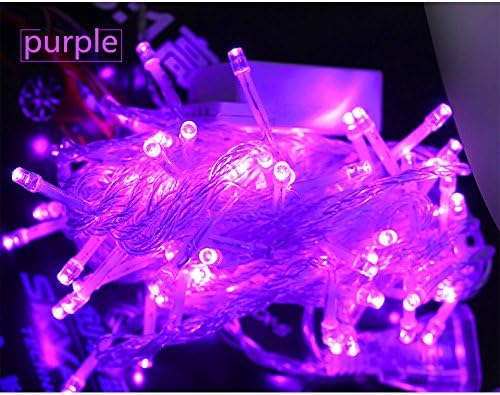 String Lights,Fairy Garden String Lights for Garden,Bedroom,Patio,Gate,Yard, Wedding,Xmas Party (110volts 100 led 32.8 feet/10 meters) (PURPLE)