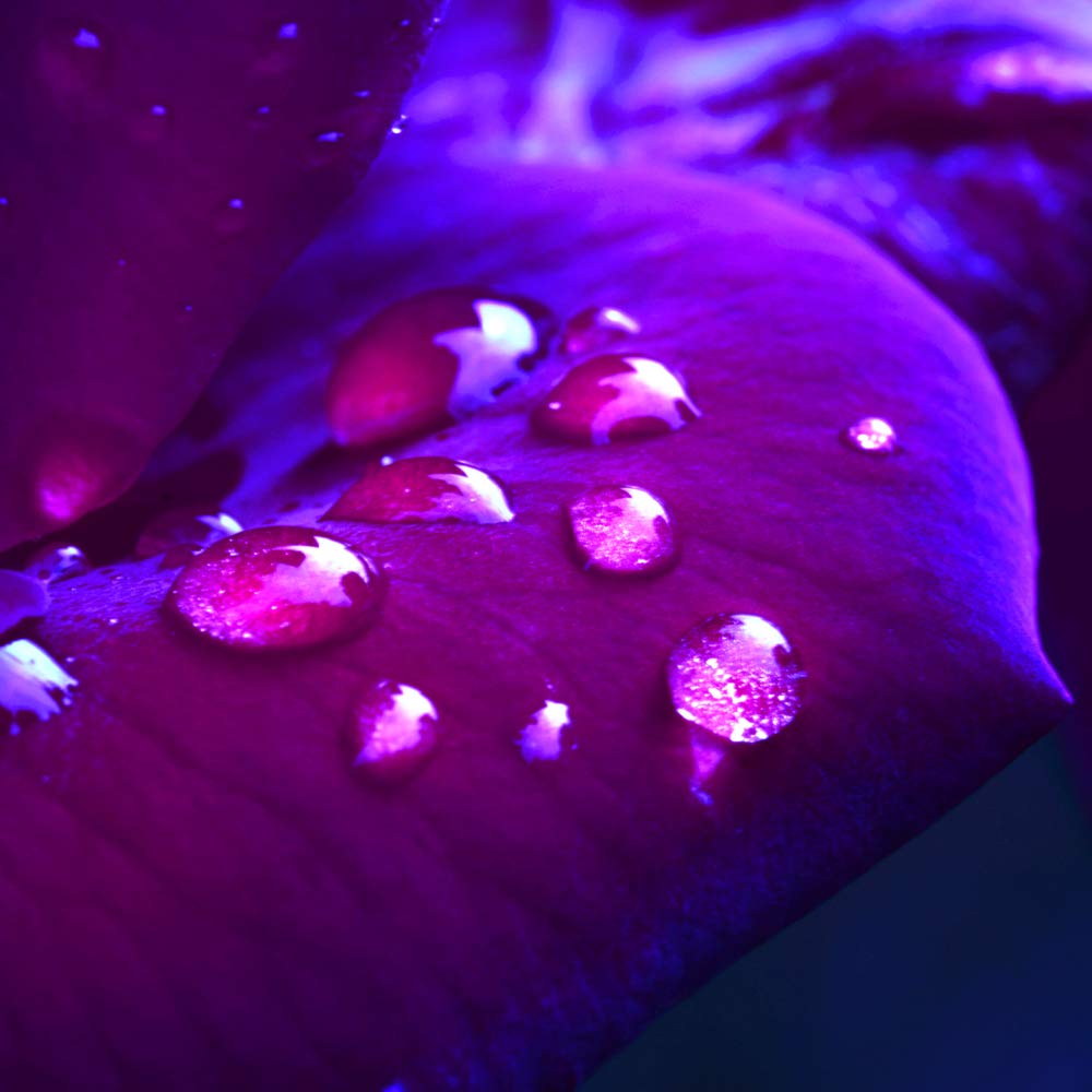 International Graphics - Finished Picture - Lily Andrea, Seidel - ''Lust''- 30 x 30 cm - Direct printing on acrylic glass