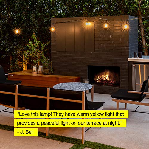 Brightech Ambience Pro Incandescent Outdoor String Lights - 48 Ft Dimmable Patio Light - 40W Commercial Waterproof Porch String Lights for Outside, Backyard - 15 Vintage Filament Bulbs, Warm White