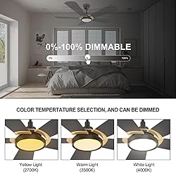 5 Blade Smart Ceiling Fan with Lights, 10-speed