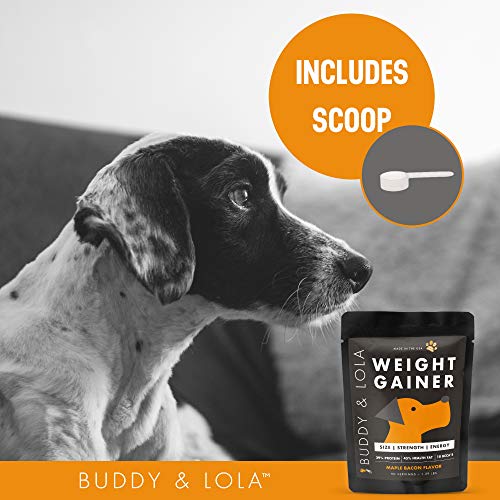 Buddy & Lola Dog Weight Gainer Dog Supplement for Weight Gain Dog