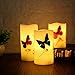 Set of 3 Flameless LED Candles Color Changing Flicker,Light Mode Option Real Handmade butterflies and plant specimens with Timer and 18-key Remote for Mother's Day,Wedding,Votive,Yoga and Decoration