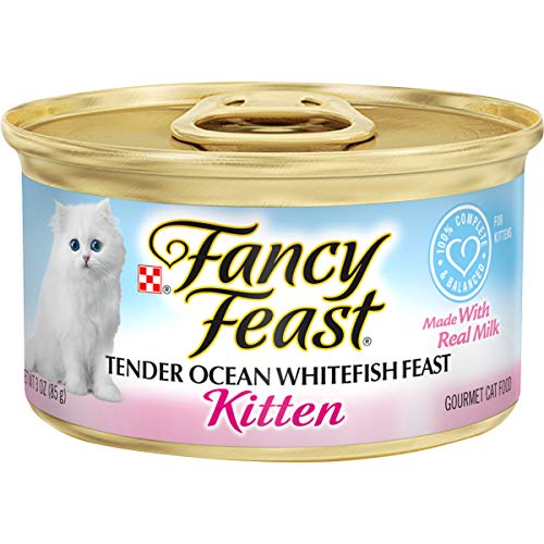 kitten food purina
