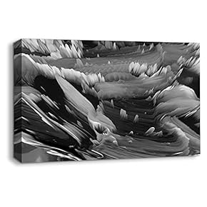 Canvas Wall Art Abstract Black and White Painting Artwork for Home Prints Framed - 12x18 inches