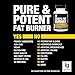 Thermogenic Green Tea Fat Burner Pills - Burn Belly Fat, Suppress Diet, Control Appetite, Energy / Metabolism Booster. Contains Capsicum Extract, Stomach Weight Loss For Men – 60 Servings, Ignizium.