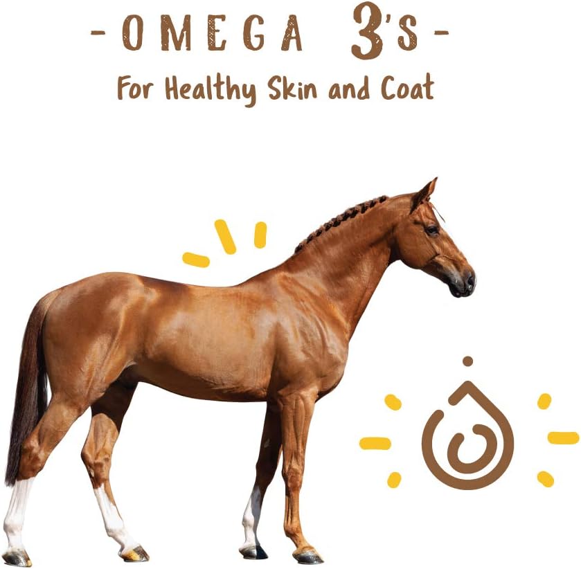 Manna Pro Simply Flax for Horses | Omega-3 Fatty Acids from Flaxseed | 8 Pounds : Horse Nutritional Supplements And Remedies : Pet Supplies