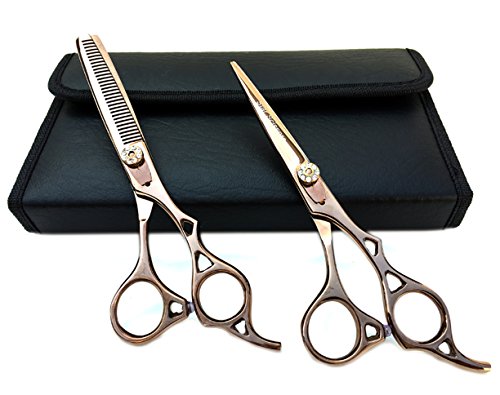 Professional Hairdressing Salon Stylist Scissors & Thinning Shears Set 6.0" Unique Made by Japanese Stainless Steel + Free Black Case