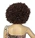 Fluffy Short Afro Wigs Synthetic Unisex Anime Cosplay Funny Fancy Wig for Crazy Party (Brown)