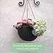 Self-Watering Hanging Planter for Outdoor & Indoor Decor - Create Your Flower, Succulent, or Herb Garden in This Elegant Round Plastic Basket Plant Pot for Any Location
