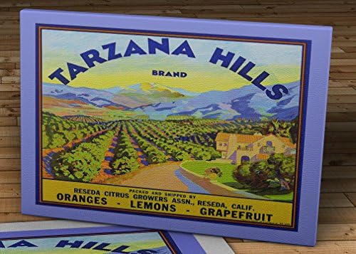 1940 Vintage Produce Label - Tarzana Hills_Brand - Canvas Gallery Wrap - 14 x 12