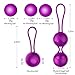 Kegel Exercise,Aiskki Ben Wa Balls Sets,Remote Vibration Remote-controlled,Premium Grade Silicone,Doctor Recommended for Women Beginners,Bladder Control Exercises,Vaginal Tightening