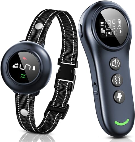 Colofrog 2-in-1 Training Collar