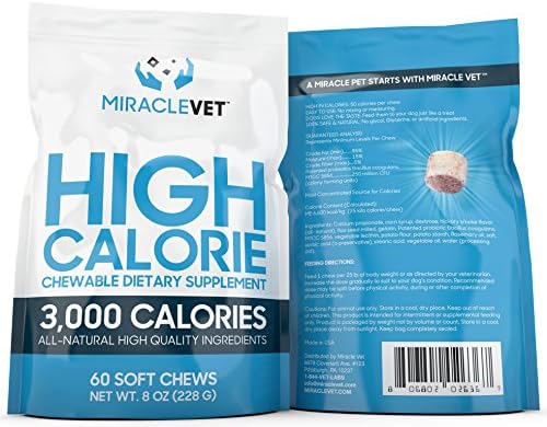 how can you tell if a guinea pig is male or female