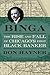 Binga: The Rise and Fall of Chicago's First Black Banker (Second to None: Chicago Stories) by Don Hayner