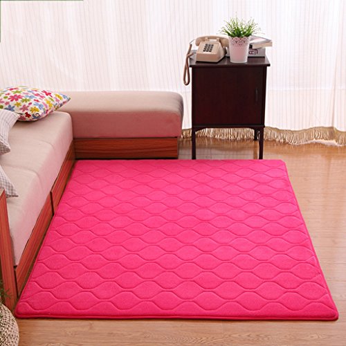 Amazon.com: Alfombra Interior antideslizante sala de estar ...