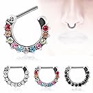Septum Ring Clicker 316L Surgical Steel CZ Gemmed Septum Clicker 16g 14g (16g 1/4" 6mm Rainbow) (Sold Individually)