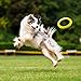 LaRoo Dog Frisbee Toy Flying Ring Pets Flying Disc Dog Chew Toys Non-Toxic Fitness Ring for Dogs