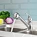 TANBURO Modern Commercial Single Handle Pull Out Sprayer Bar Kitchen Sink Faucet Small Pull Down Kitchen Sink Faucet (Pull Out Kitchen Sprayer Faucet)