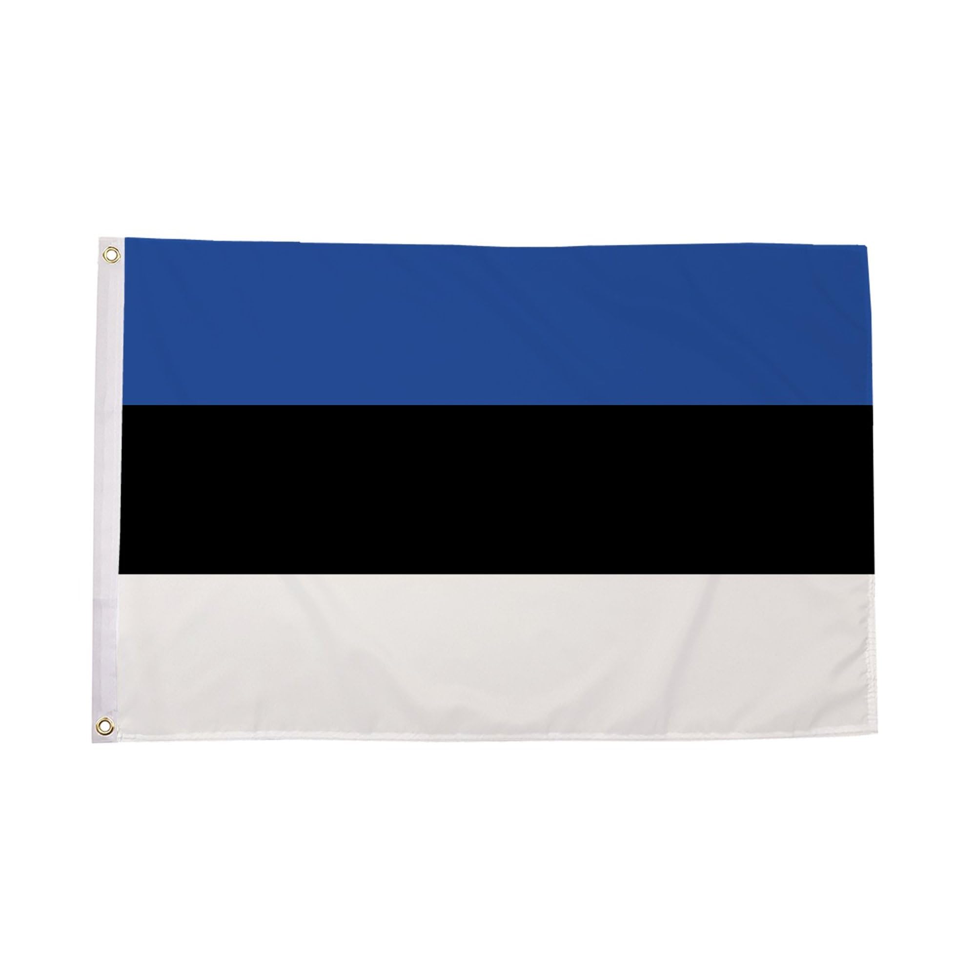 Flagtex Estonia Flag Small 3ft x 2ft (90cm x 60cm) - Estonian National Flag for Garden Display, Outdoor Polyester Flag, European Country Banner, Sports Events — image 1