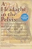A Headache in the Pelvis A new understanding and treament for prostatitis and chronic pelvic pain sy by 