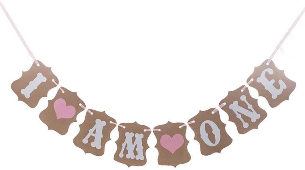 1st Birthday Banner Girl