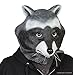 Archie McPhee Racoon Mask
