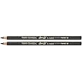 Conté à Paris Artists' Pencils Charcoal 2B (Pack of 2)