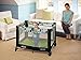 Graco Pack 'n Play On the Go Playard, Bear Trail