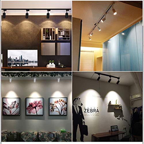 GALYGG LED Track Lighting Heads Black Spotlight, 3 - Wire Light Fixtures, 30W 3000LM 3000K Warm White, for Wall Art Exhibition