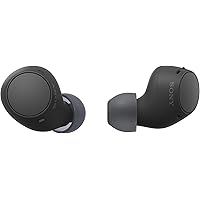 Sony WF-C510 Truly Wireless in-Ear Bluetooth Earbud Headphones with up to 22-Hour Battery, Multipoint-Connection, Mic and IPX