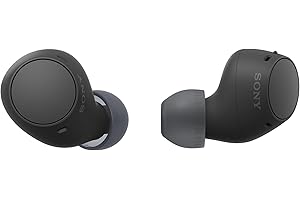 Sony WF-C510 Truly Wireless in-Ear Bluetooth Earbud Headphones with up to 22-Hour Battery, Multipoint-Connection, Mic and IPX