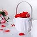 Hearts Shop Crystal Decor Double-Heart Wedding Flower Basket (White)