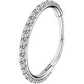 OUFER Nose Rings Surgical Steel Cartilage Earrings Tragus 316L Stainless Steel Helix Earrings Cartilage Earring 14G/16G/18G/20G Hinged Segment Rings Hoop