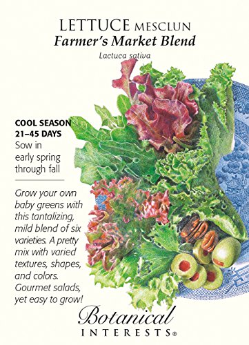 Farmer's Market Blend Mesclun Lettuce Seeds - 1.5 grams by Hirts: Seed; Vegetable Farmer's Market Blend Mesclun Lettuce Seeds - 1.5 grams by Hirts: Seed; Vegetable